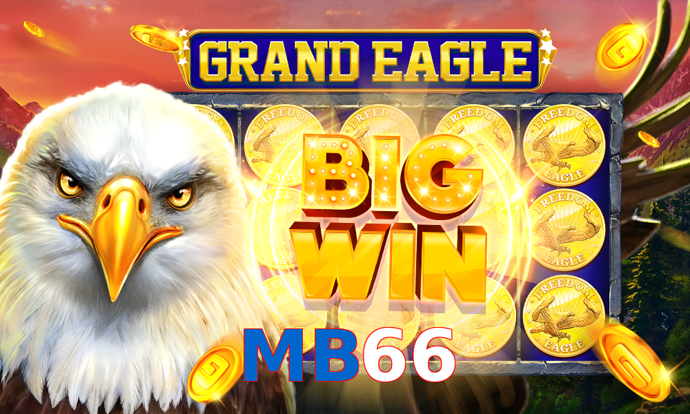 MB66