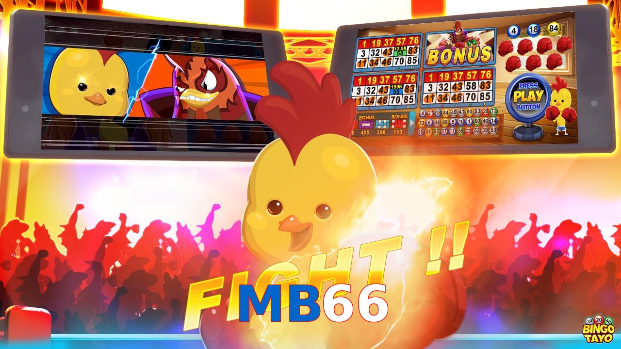 MB66