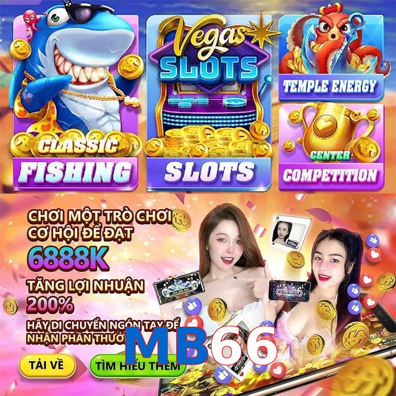 MB66