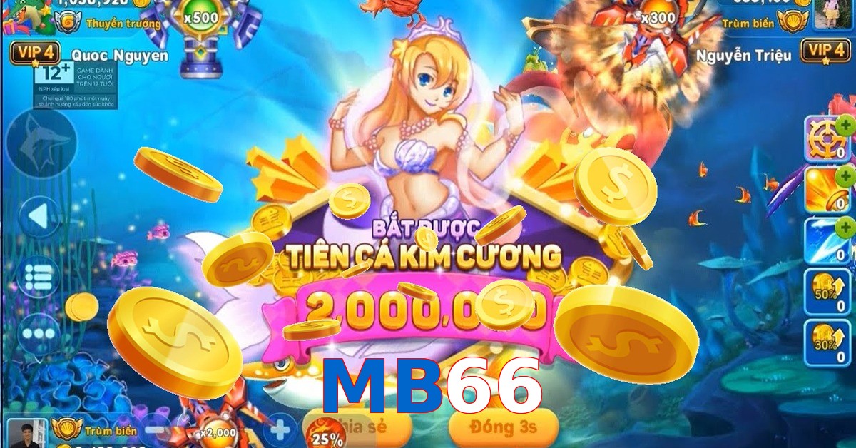 MB66