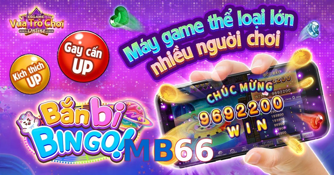MB66