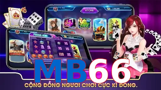 MB66