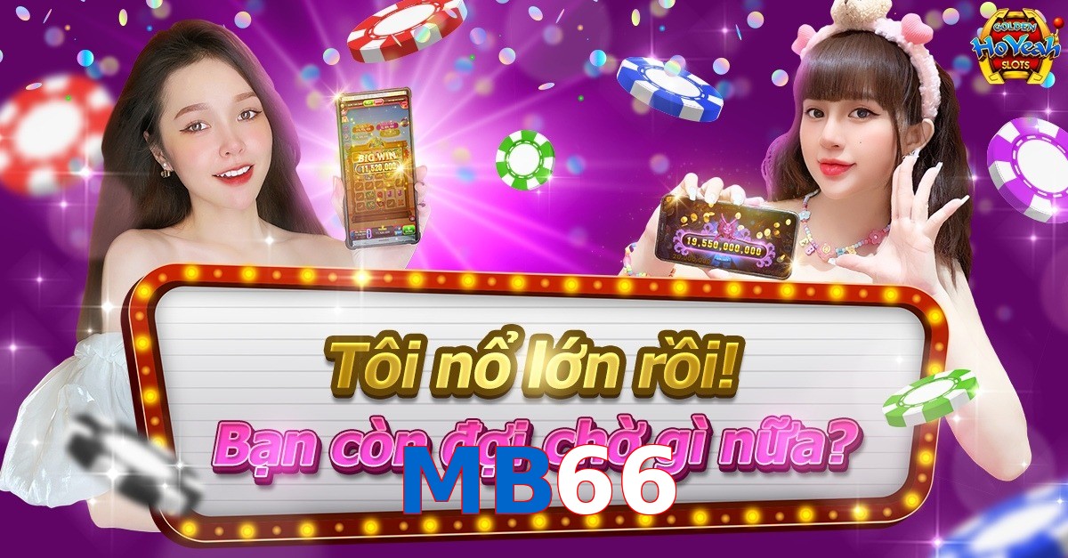 MB66