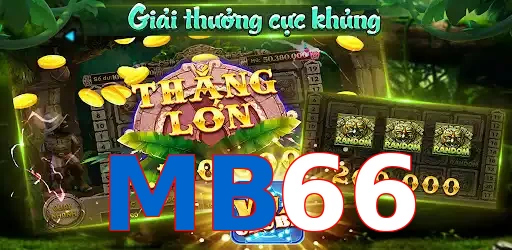 MB66