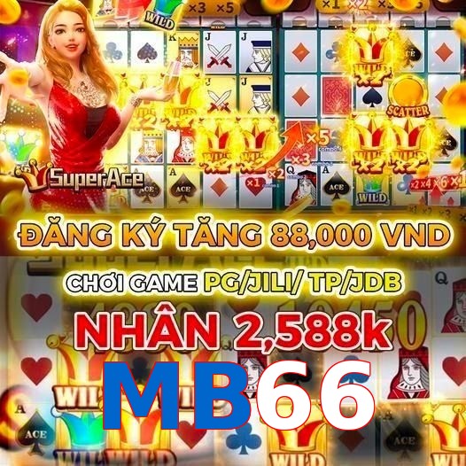 MB66