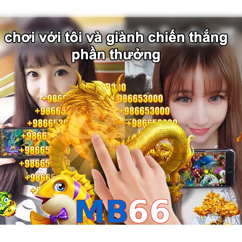 MB66